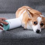 Portable Pet Paw Cleaner Cup Soft Silicone Comb